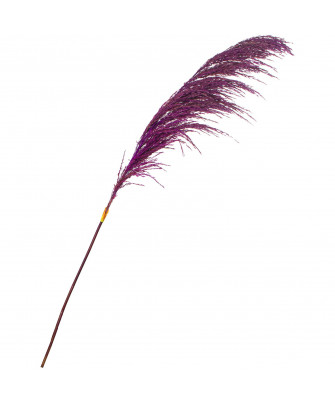 Rama Caña Natural Violeta 110cm