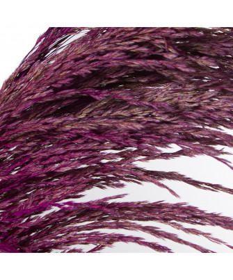 Rama Caña Natural Violeta 110cm