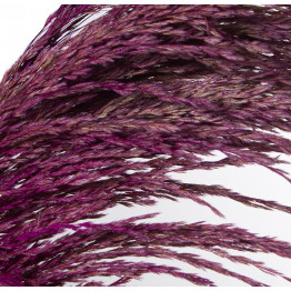 Rama Caña Natural Violeta 110cm