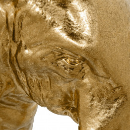 Figura Elefante Dorado XL