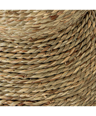 Jarron Hierba De Mar