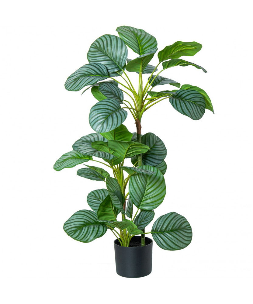 Planta Artificial Calathea Orbifolia 90cm