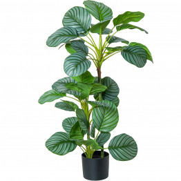 Planta Artificial Calathea Orbifolia 90cm