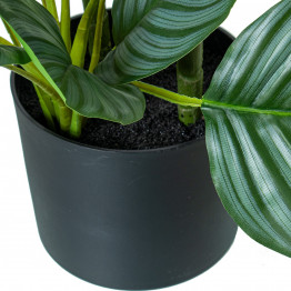 Planta Artificial Calathea Orbifolia 90cm