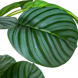 Planta Artificial Calathea Orbifolia 90cm