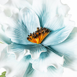 Flor Blanca/azul