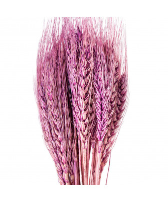 Ramo Varas Trigo Rosa