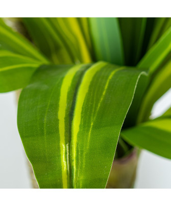 Planta Artificial Dracaena 130cm