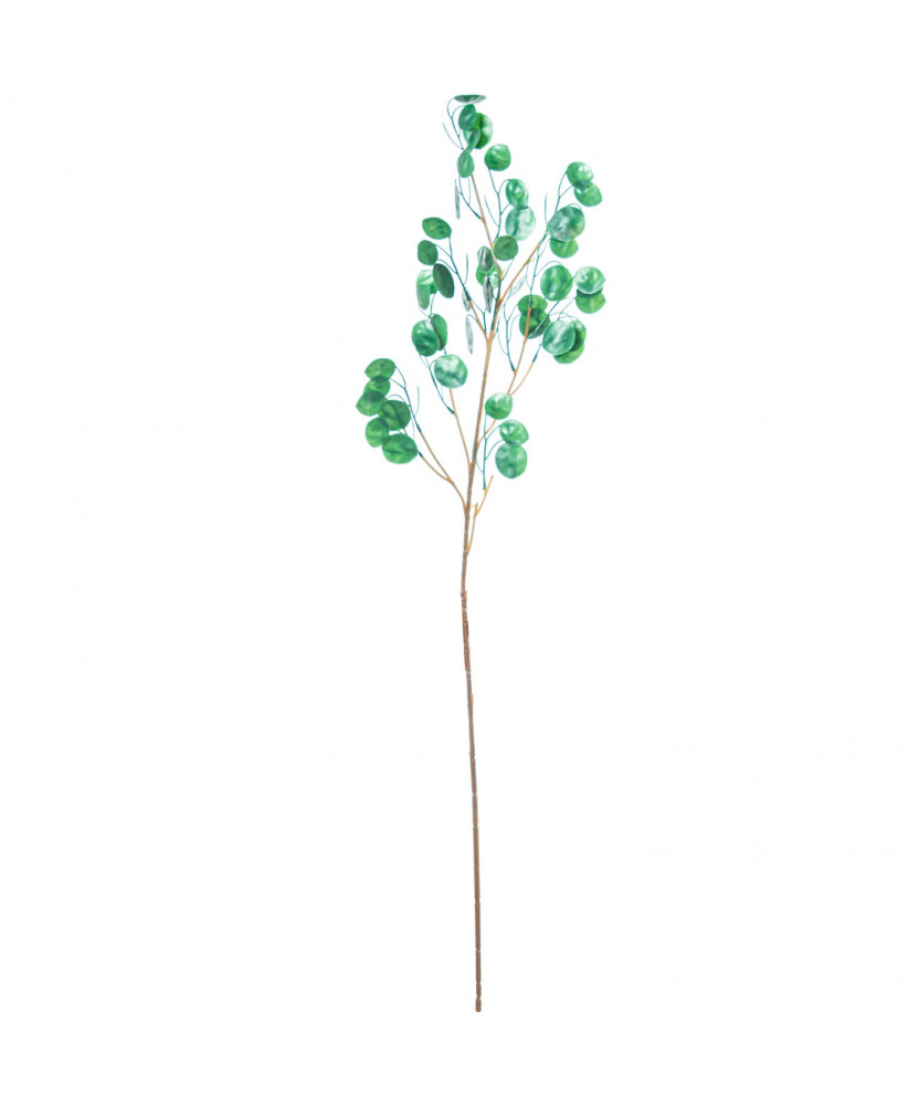 Rama Lunaria Verde