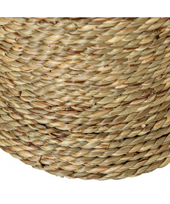 Jarron Hierba De Mar