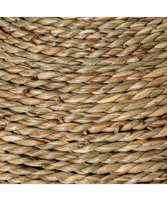 Jarron Hierba De Mar