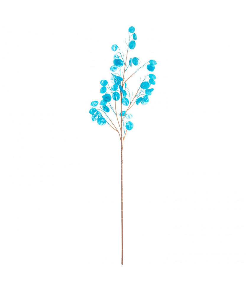 Rama Lunaria Azul