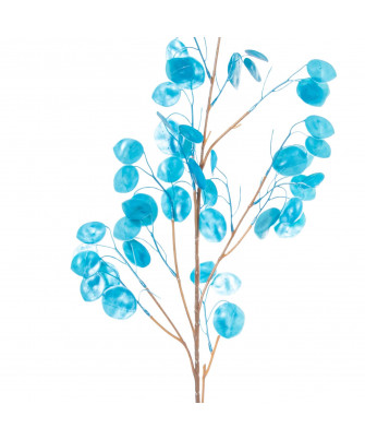 Rama Lunaria Azul