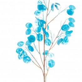 Rama Lunaria Azul