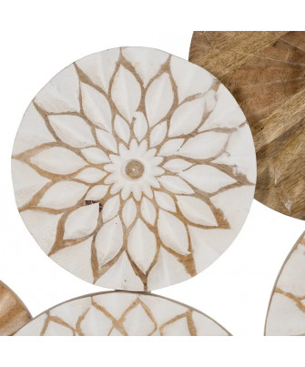 Deco Pared Natura Círculos