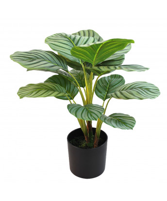 Planta Artificial Calathea