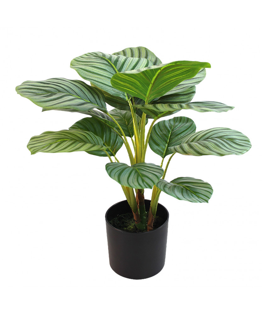 Planta Artificial Calathea