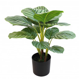 Planta Artificial Calathea