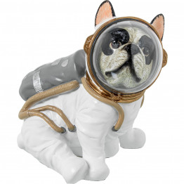 Bulldog Astronauta