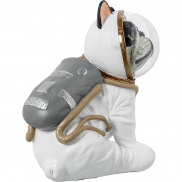 Bulldog Astronauta