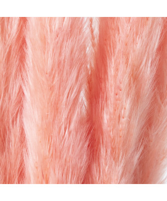 Ramo Flores Preservadas Rosa