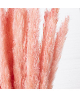 Ramo Flores Preservadas Rosa