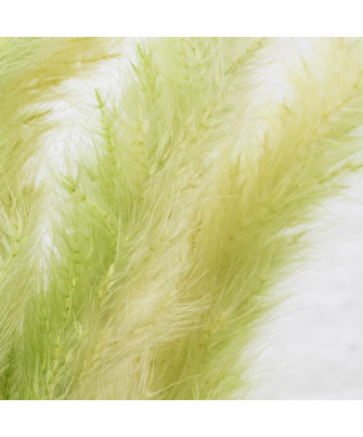 Ramo Flores Preservadas Verde