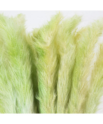 Ramo Flores Preservadas Verde