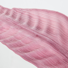 Rama Hojas Artificiales Violeta