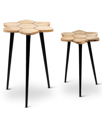 Set 2 Mesas Auxiliares Flor