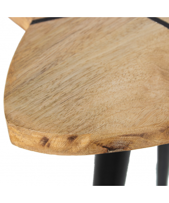 Set 2 Mesas Auxiliares Flor