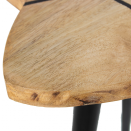 Set 2 Mesas Auxiliares Flor