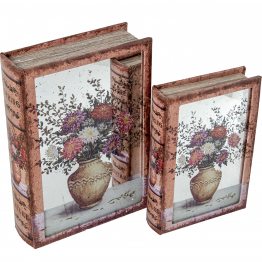 Set 2 Cajas Libro Madera / Espejo