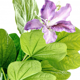 Planta Artificial Arbol Orquideas Violeta 120 Cm 5 Ramos 120 Cm.