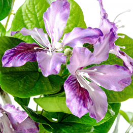 Planta Artificial Arbol Orquideas Violeta 120 Cm 5 Ramos 120 Cm.