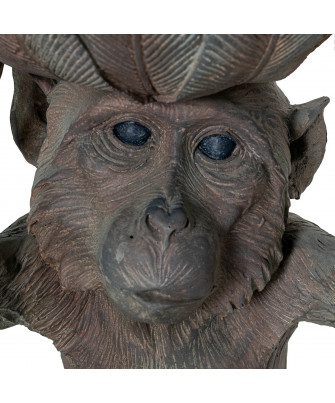 Figura Resina Chimpancé C/cuenco 29x28x49cm