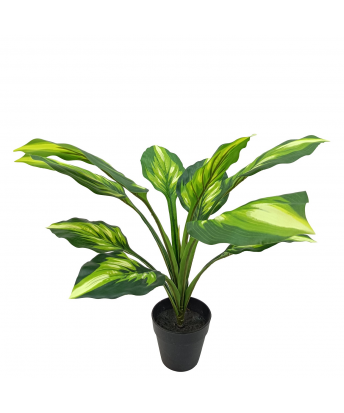 Planta Artificial Aglaonema 50 Cm 11 Hojas 50 Cm.