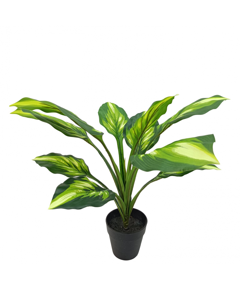 Planta Artificial Aglaonema 50 Cm 11 Hojas 50 Cm.