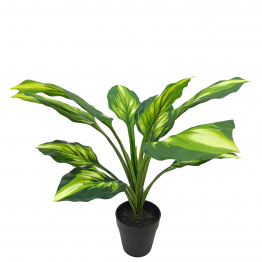 Planta Artificial Aglaonema 50 Cm 11 Hojas 50 Cm.