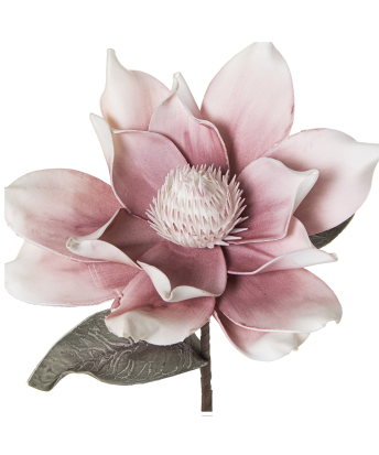 Rama C/flores Rosa 84 Cm Gomaeva+papel Ø30x84cm