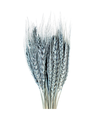 copia de Ramo Varas Trigo Azules