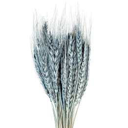 copia de Ramo Varas Trigo Azules
