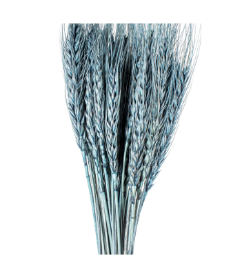 copia de Ramo Varas Trigo Azules
