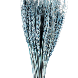 copia de Ramo Varas Trigo Azules