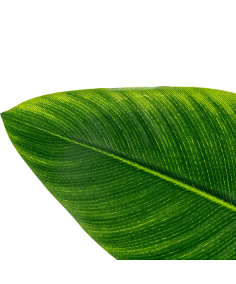 Planta Artificial Arbol Del Viajero 70 Cm 2 Troncos 10 Hoj 70 Cm.