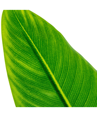 Planta Artificial Arbol Del Viajero 70 Cm 2 Troncos 10 Hoj 70 Cm.