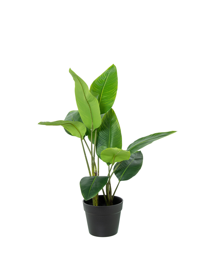 Planta Artificial Arbol Del Viajero 70 Cm 2 Troncos 10 Hoj 70 Cm.