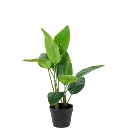 Planta Artificial Arbol Del Viajero 70 Cm 2 Troncos 10 Hoj 70 Cm.