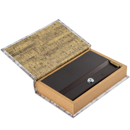 Caja Libro Madera Dm C/caja Caudales Metal 26x17x5cm