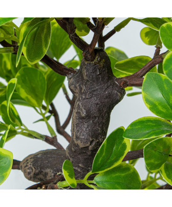 Planta Artificial Euonymus